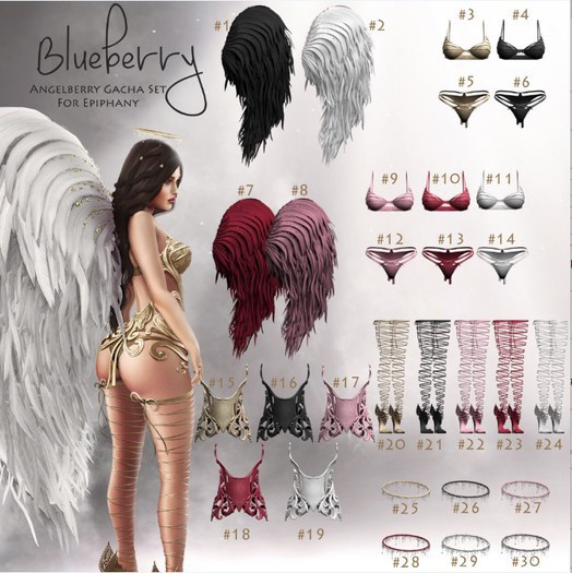 #4 Blueberry - Angelberry - RARE - Bra - Slayer *Venus*
