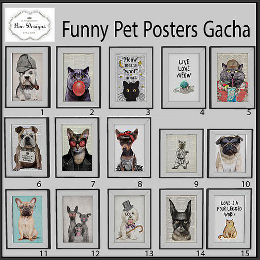 Bee Designs Funny Pet Posters 4