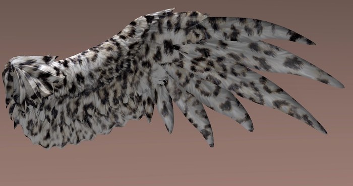 [M.O.R] Avia Texture Applier - Leopard - Valkyrie Designed