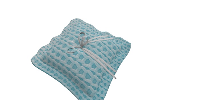 Blue pillow/wht Ribbon