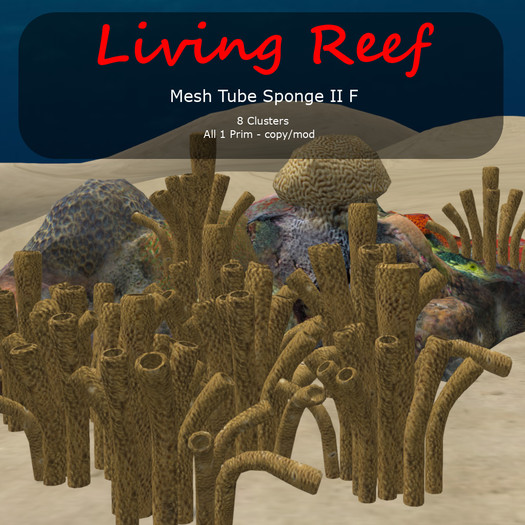 Inochi Reef - Tube Sponge II F