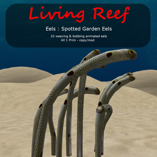Inochi Reef - Spotted Garden Eels