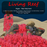 Inochi Reef - Red Halymeni