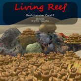 Inochi Reef - Hammer Coral F