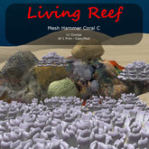 Inochi Reef - Hammer Coral C