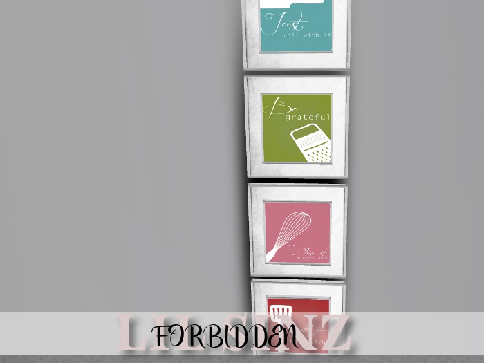[FORBIDDEN] KITCHEN MESH FRAME   [BOXED]