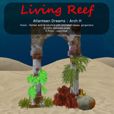 Inochi Reef - Atlantean Arches H