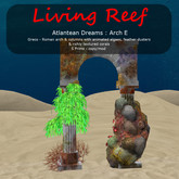 Inochi Reef - Atlantean Arches E