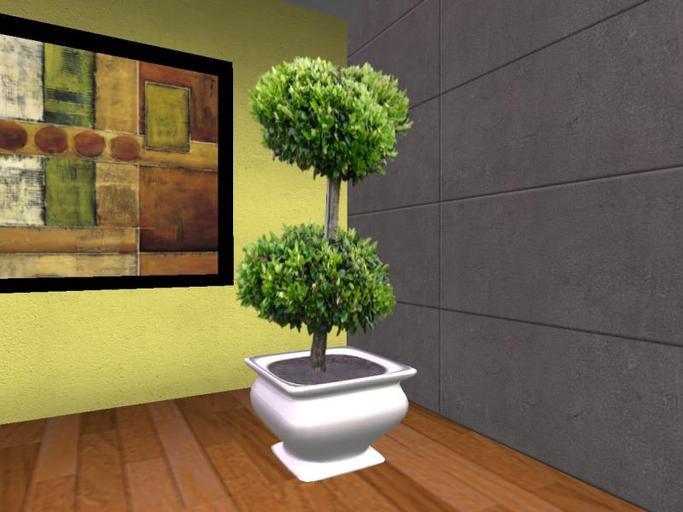 Arkad's Potted Waxleaf Privet v2 flexi plant