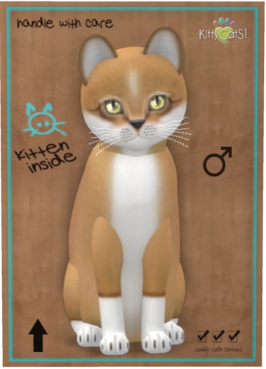 KittyCatS Box - Foxie - Blondie