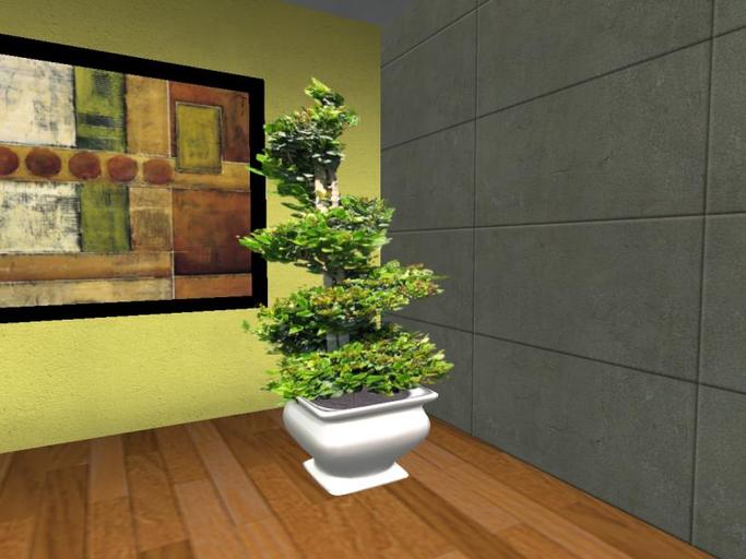 Arkad's Potted Waxleaf Privet v1 flexi plant