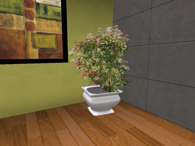 Arkad's Potted Viburnum flexi plant 1
