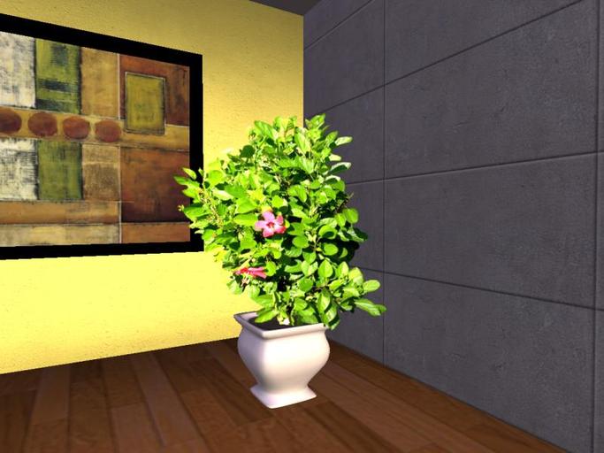 Arkad's Potted Tropical Hibiscus flexi plant