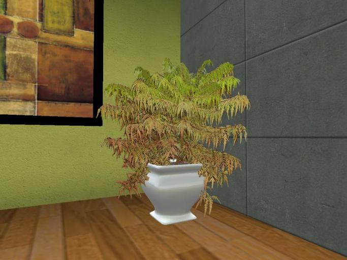 Arkad's Potted Tiger Eyes Sumac flexi plant