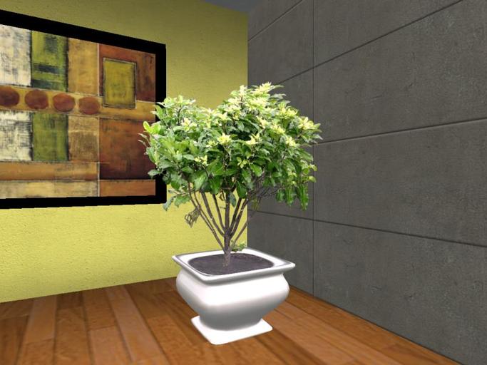 Arkad's Potted Tawhiwhi flexi plant