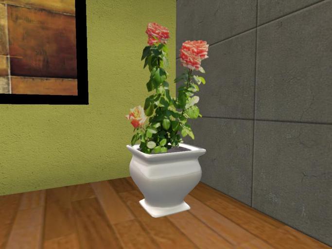 Arkad's Potted Roses v3 flexi plant