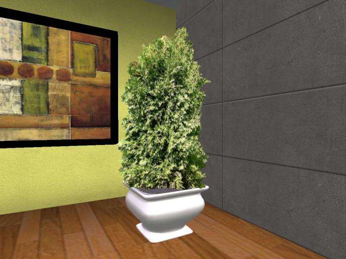 Arkad's Potted Oriental Arborvitae v1 flexi plant