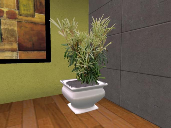 Arkad's Potted Makino Rhododendron flexi plant