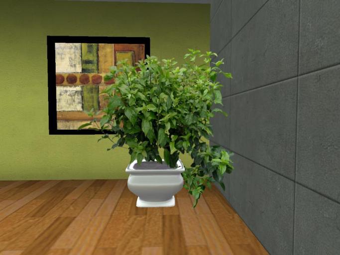 Arkad's Potted Linden Arrowwood flexi plant 1
