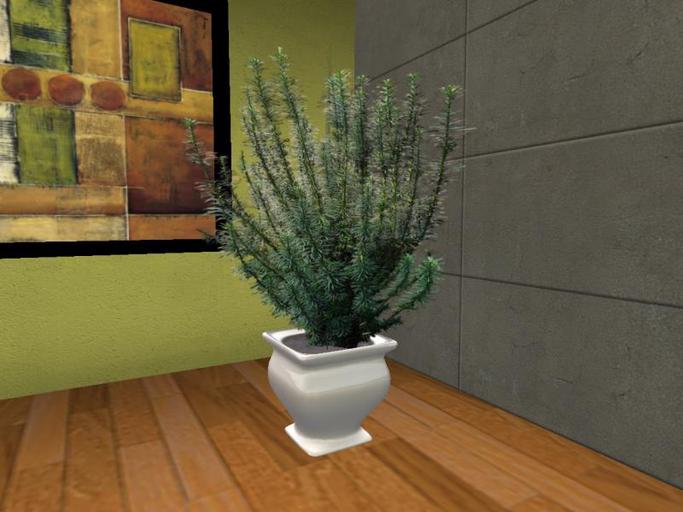 Arkad's Potted Japanese Plum Yew flexi plant