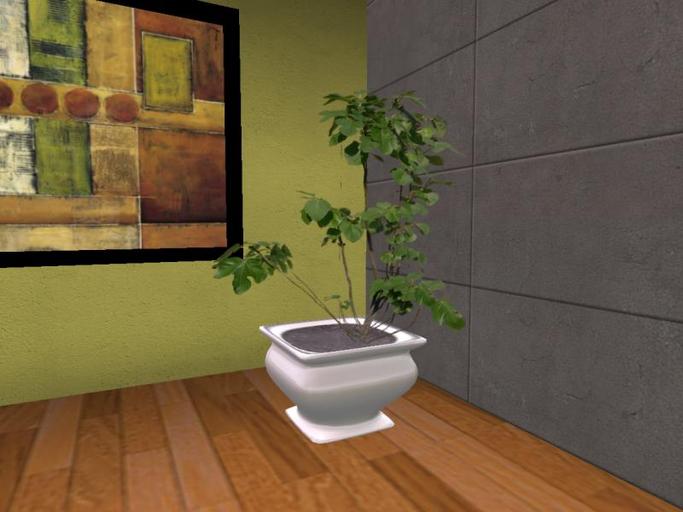 Arkad's Potted Ficus carica 'Brown Turkey' flexi plant