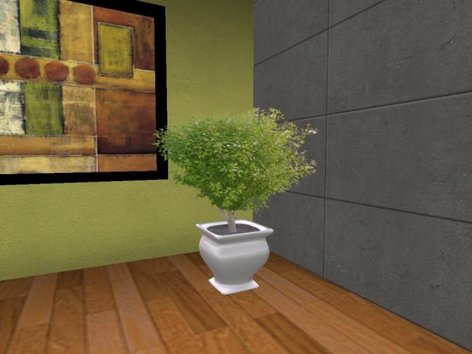 Arkad's 8 colors Potted Chinese Hibiscus flexi plant