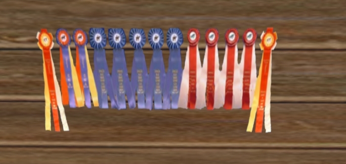 Horse Award Ribbons