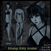 =^.^= Curious Kitties - Khalaji Kitty Avatar - Malrian