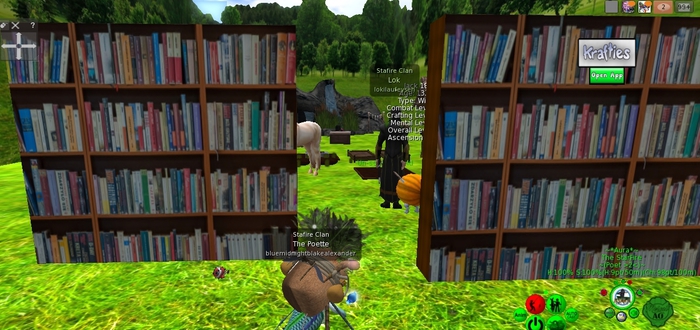 Create your own library Bookcase with notecard book giver