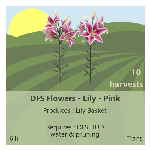 DFS Flowers - Lily Pink