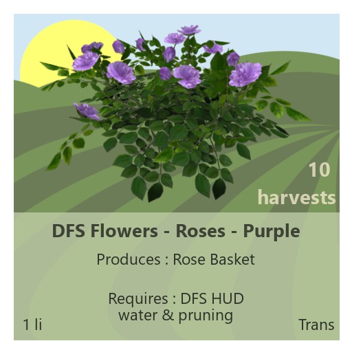 DFS Flowers - Roses Purple