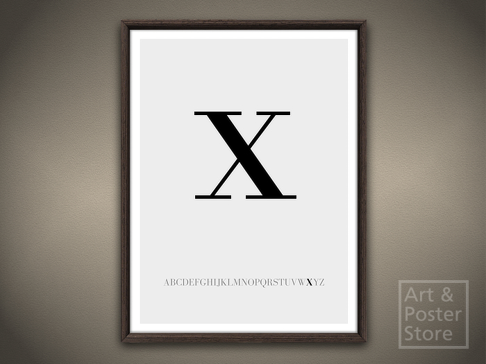  Lower Case Letter x | Typography Poster | Mesh Framed with 6 texture options 