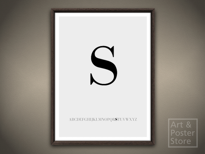 Lower Case Letter s | Typography Poster | Mesh Framed with 6 texture options