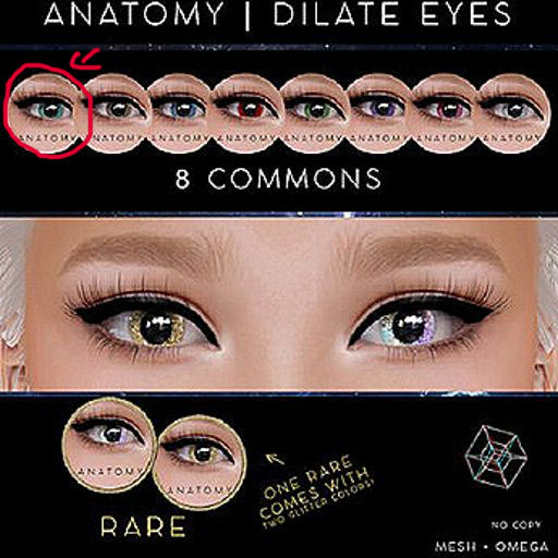 ANATOMY - DILATE EYES - COMMON - TEAL