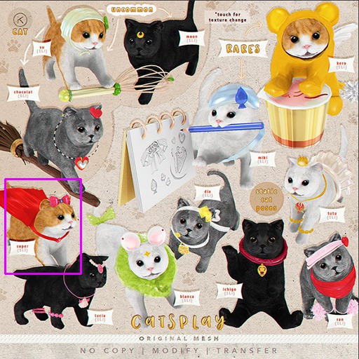 kotte - cat catsplay - super