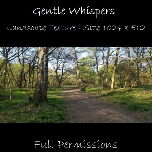 Woodlands Texture