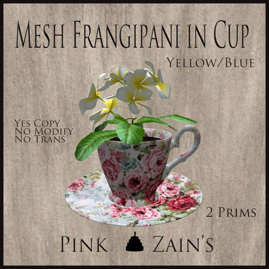 Mesh Frangipani in Cup - Yellow - Blue [BOXED]