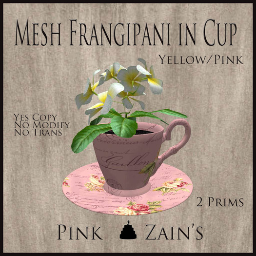 Mesh Frangipani in Cup - Yellow - Pink [BOXED]