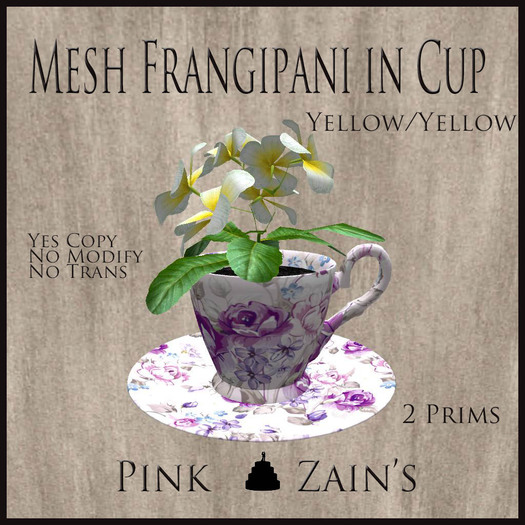 Mesh Frangipani in Cup - Yellow - Purple [BOXED]