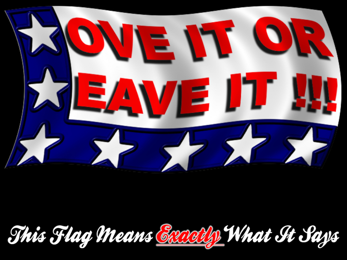 {{ FLAG - Love it or Leave it (USA) }}