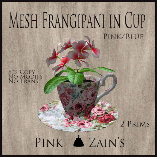 Mesh Frangipani in Cup - Pink - Blue [BOXED]