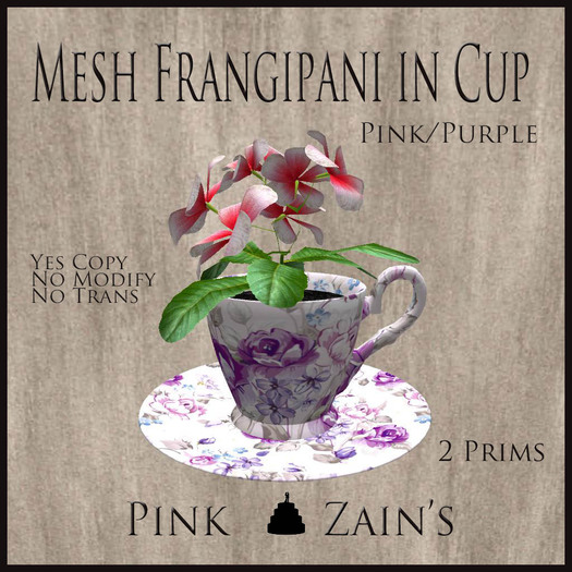 Mesh Frangipani in Cup - Pink - Purple [BOXED]