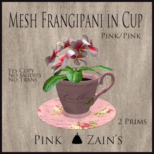 Mesh Frangipani in Cup - Pink - Pink [BOXED]