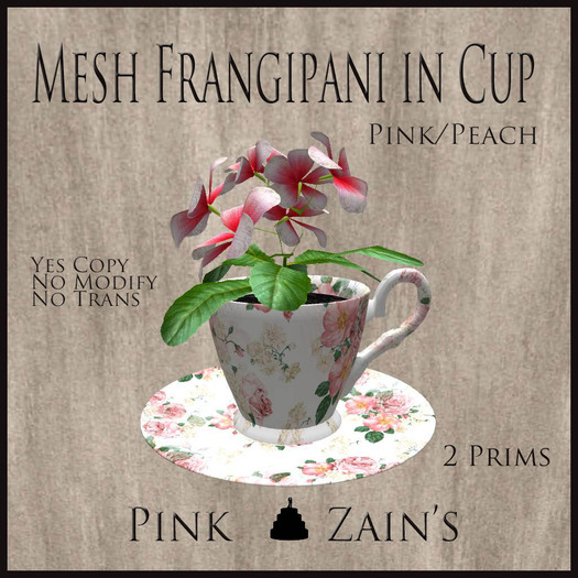 Mesh Frangipani in Cup - Pink - Peach [BOXED]