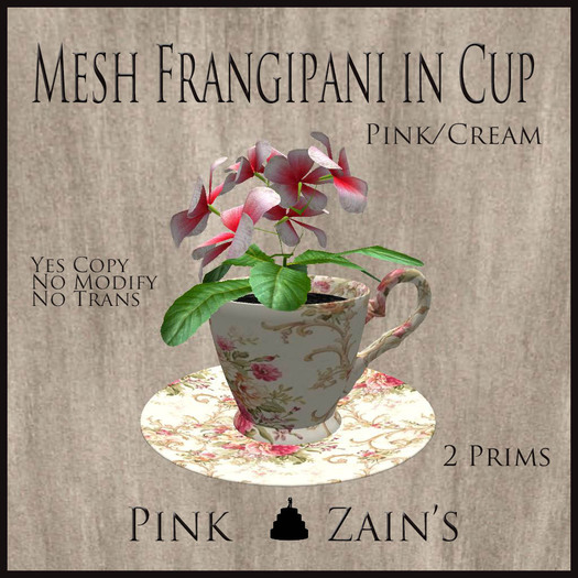 Mesh Frangipani in Cup - Pink - Cream [BOXED]