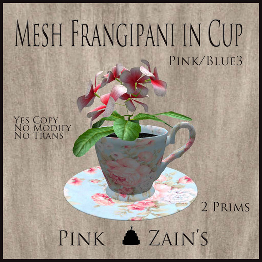 Mesh Frangipani in Cup - Pink - Blue3 [BOXED]