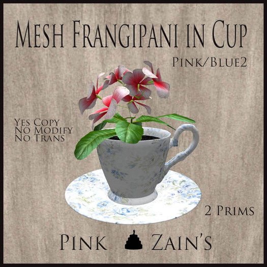 Mesh Frangipani in Cup - Pink - Blue2 [BOXED]