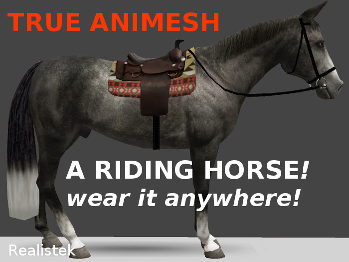 Riding Horse Animesh speckled