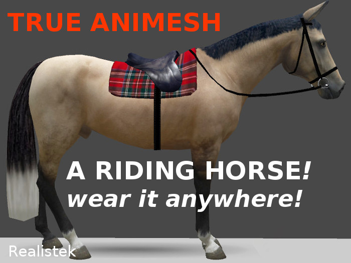 Riding Horse