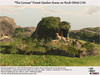 Gm16 the lioness scene v2